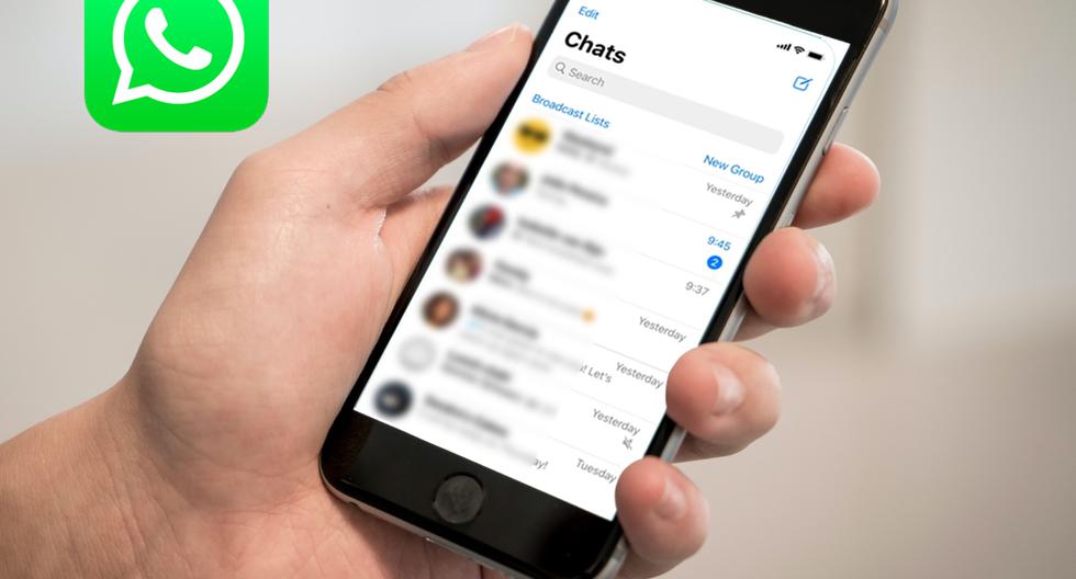Ahora puedes elegir quién entra a un grupo WhatsApp: mira cómo hacerlo