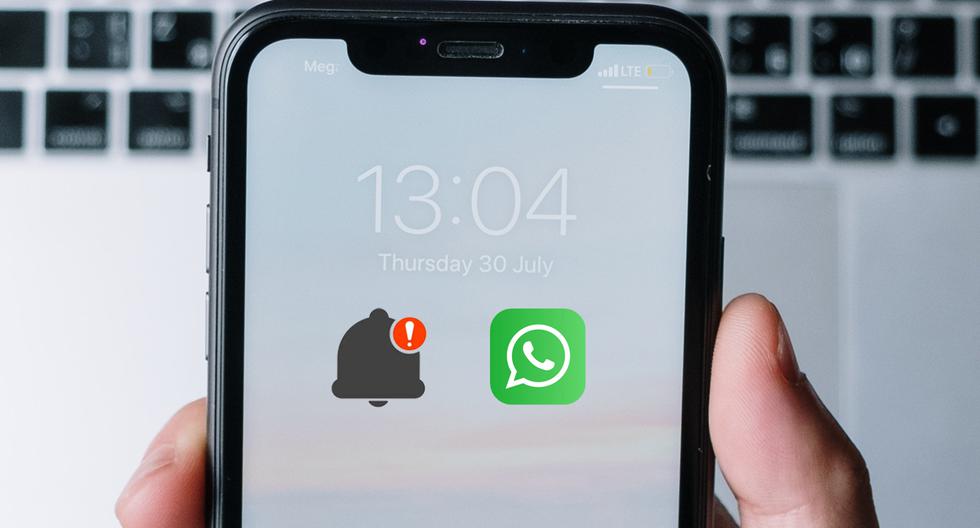 Guide to change the notification light for each WhatsApp chat.