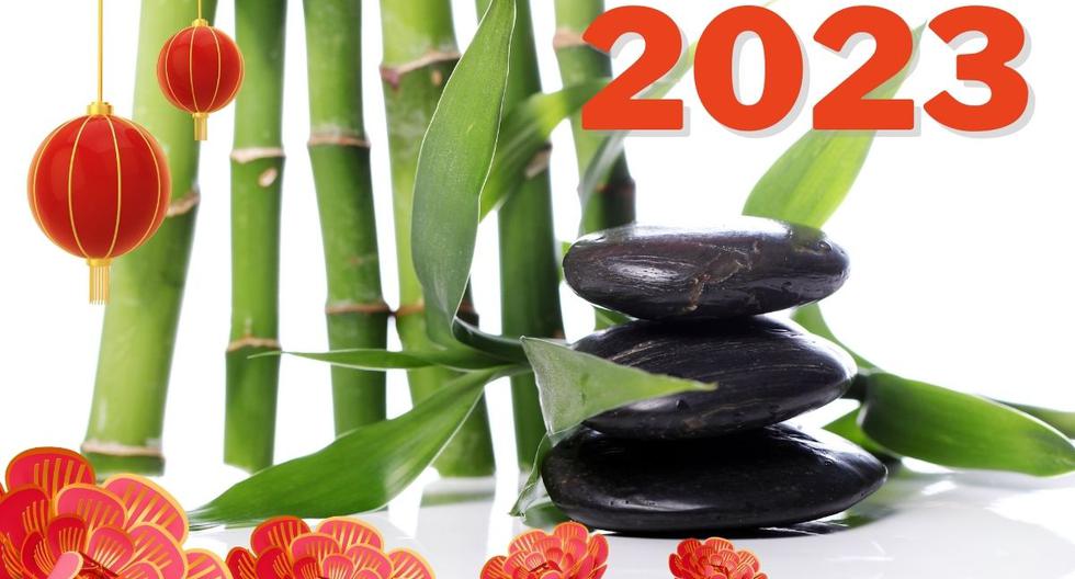 Cuáles son las plantas y flores que traerán suerte este Año Nuevo Chino 2023