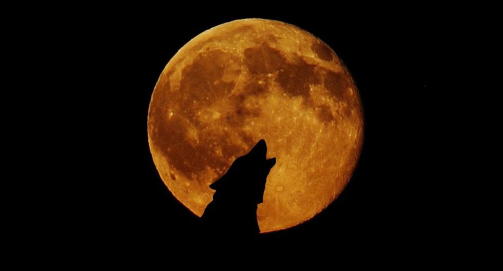 A qué hora ver la Luna del Lobo 2024 EN VIVO desde USA y MEX