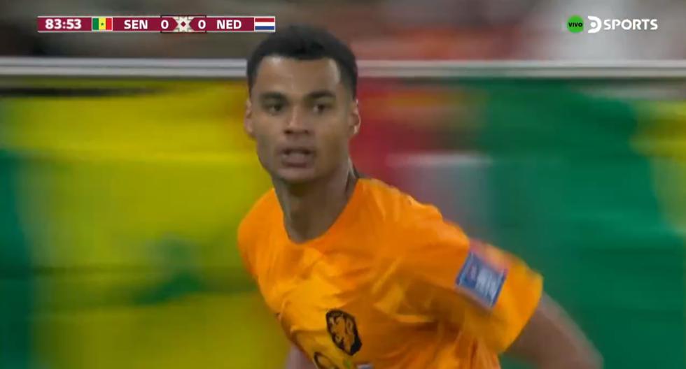 Sobre el final: gol de Cody Gakpo para el 1-0 de Países Bajos vs. Senegal 