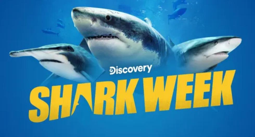 “Semana del Tiburón”: revisa la programación completa de Discovery Channel