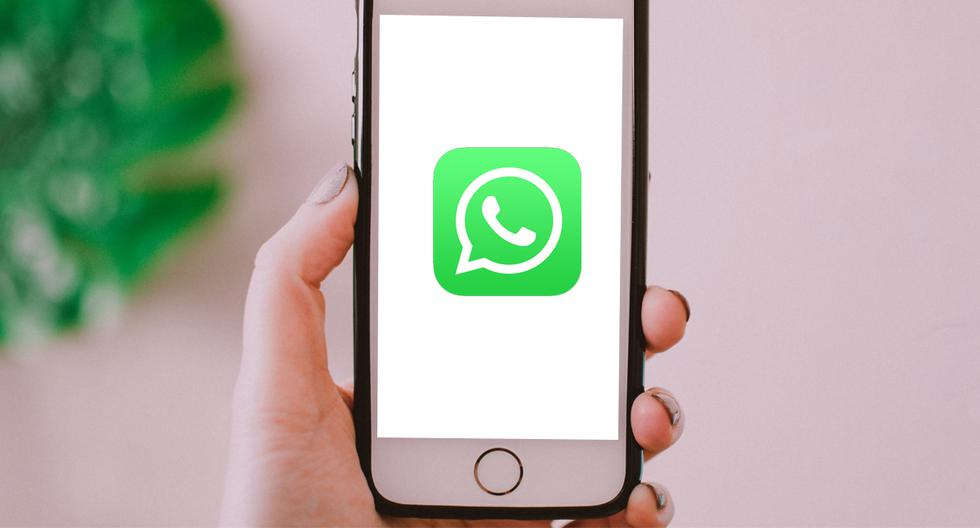 Guía para saber qué grupos de WhatsApp tienes en común con tus contactos