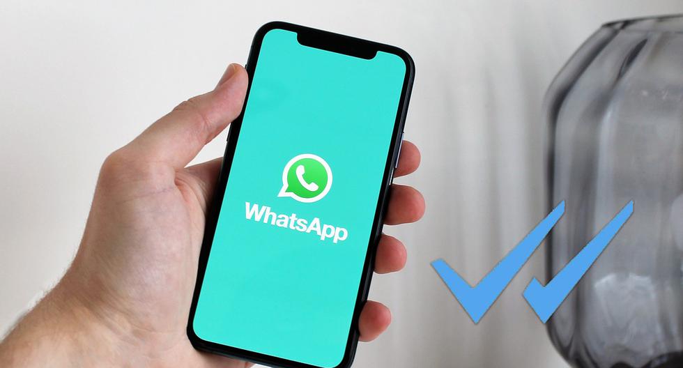 Así puedes saber si vieron tu mensaje en WhatsApp aunque no salga el doble check azul