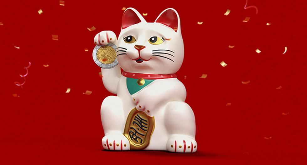 Maneki Neko: el gato símbolo de la suerte confía en la lotería Torito de Oro