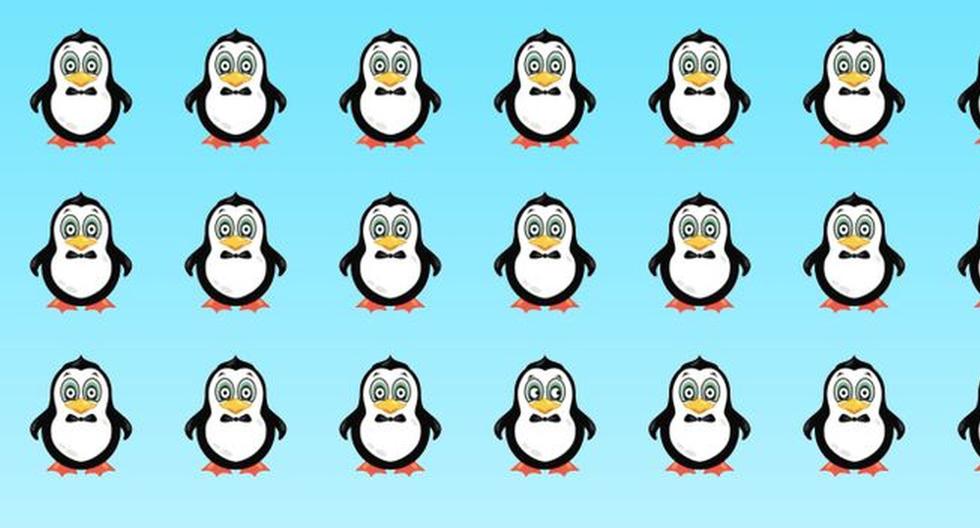 El acertijo visual del pingüino diferente al resto: encuéntralo en 8 segundos