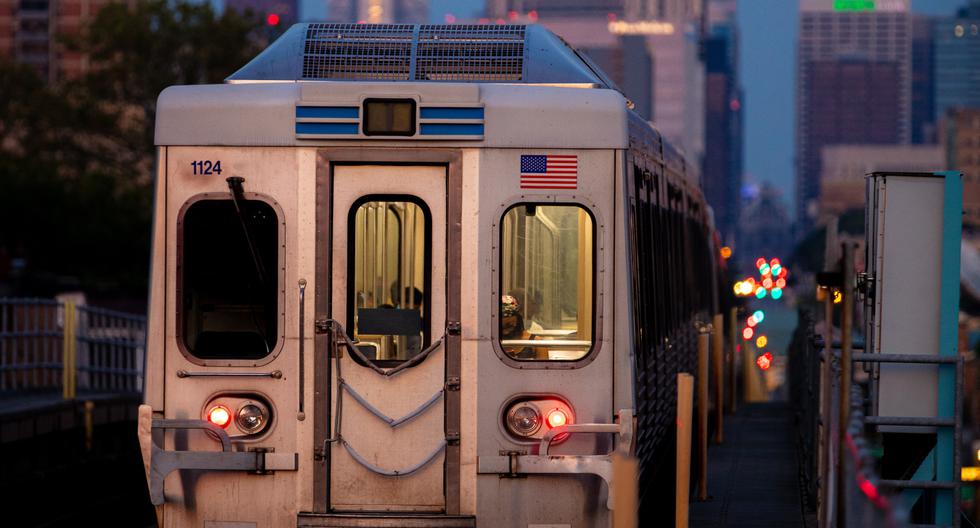 Perrito se pierde y causa retrasos en metro de Nueva York antes de reencontrarse con su dueña