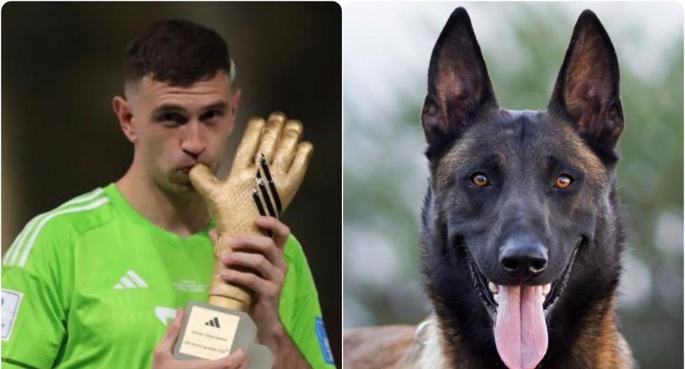 Un perro ‘militar’ cuidará los premios del ‘Dibu’ en el Mundial: ¿cuántos miles le ha costado?