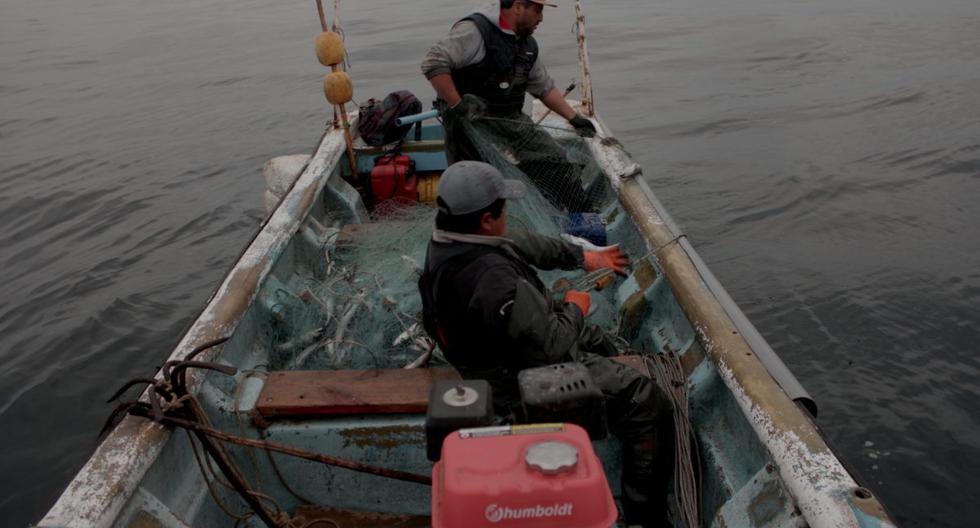 Bono Pescador 2024: a quiénes beneficia, nuevas incorporaciones y lista de requisitos