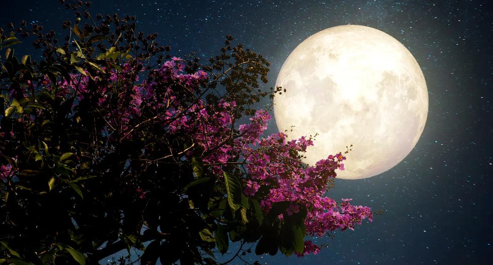 Calendario lunar mayo 2024: cómo y cuándo ver las fases de la Luna de las Flores