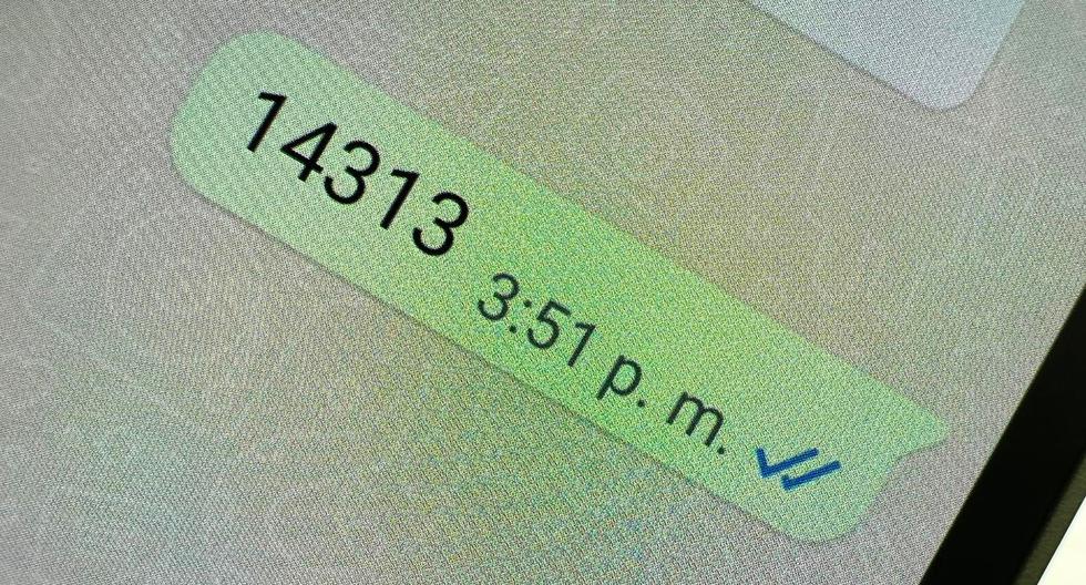 WhatsApp: qué significa el número “14313″ y por qué los novios lo usan