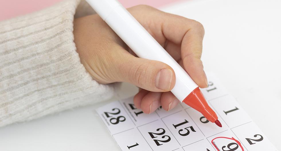 ¿Qué se festeja en marzo, cuáles son los días no laborables y qué feriados hay en 2024?