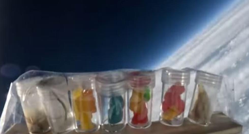 Niños de Nueva York impresionan a todos lanzando al espacio globo con ositos de goma dentro
