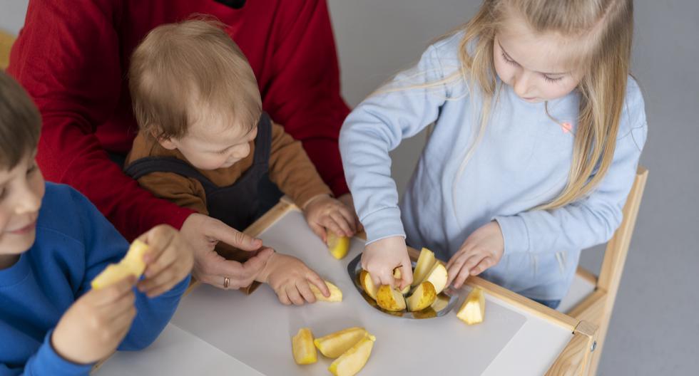 Dieta infantil: La importancia de una buena alimentación para su desarrollo mental