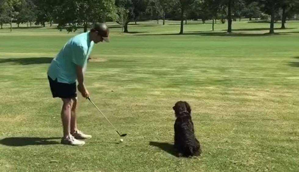El hombre estuvo acompañado de su perro en un campo para practicar golf. (YouTube: ViralHog)