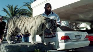 Mike Tyson contó cómo su tigre de bengala le “arrancó el brazo” a una mujer 