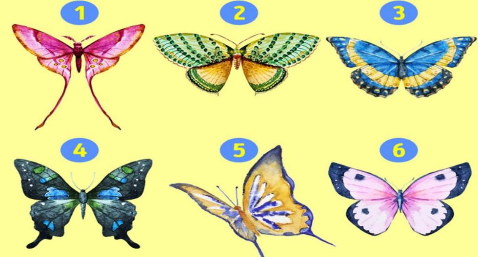 Test wizualny |  Wybór motyla pozwoli Ci dowiedzieć się więcej o Twojej osobowości  Meksyk