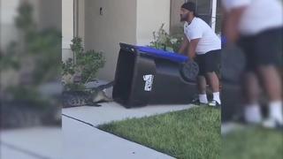 Video viral: Valiente hombre captura a caimán con un bote de basura