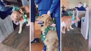 Perro protagoniza insólita escena durante la boda de sus amos y causa ternura en YouTube