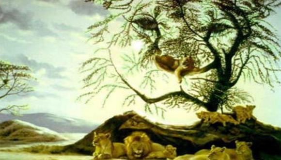 Cuántos leones puedes ver en la imagen? El test que hará mejorar tu nivel  de inteligencia | MEXICO | DEPOR