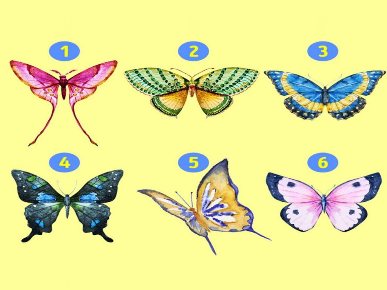 TEST VISUAL | Esta imagen te muestra bastantes mariposas. Escoge una. (Foto: namastest.net)