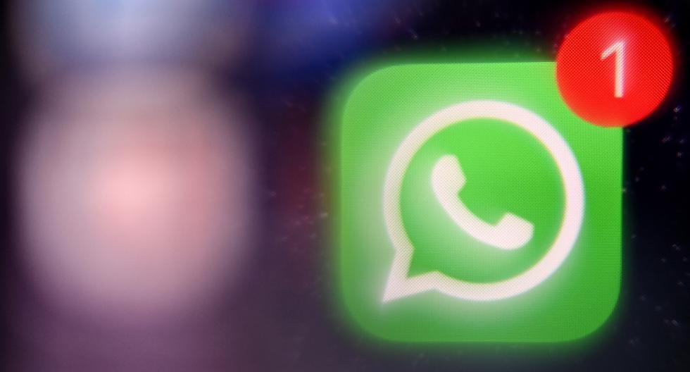 WhatsApp: All personal information collected by the support team |  App |  Application |  Mobile |  Android |  iOS |  SPOR-PLAY