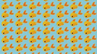 Reto viral: encuentra los 5 peces diferentes al resto y demuestra qué tan buena es tu visión