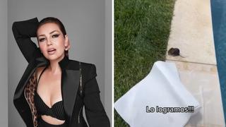 Thalía salva a ratón que se ahogaba en su piscina y video arrasa en Internet 