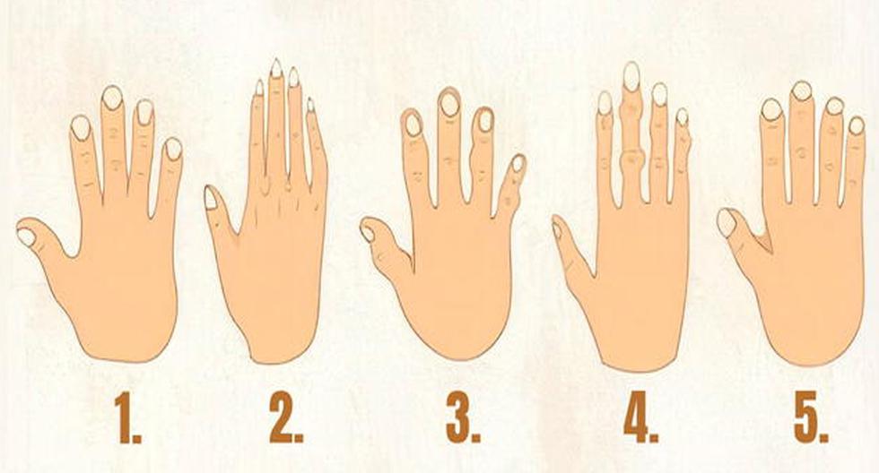 Answer the shape of your hand and the viral test will reveal if you are ambitious |  Mexico