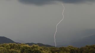 Rayo impacta a 4 personas que se refugiaron en un árbol en medio de tormenta