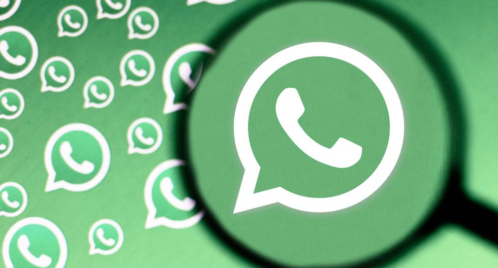WhatsApp: ekran prywatności zmieni się, aby uprościć operacje |  WaBetaInformacje |  aplikacja |  aplikacja |  Meksyk |  MX |  Zagraj w DEPORA