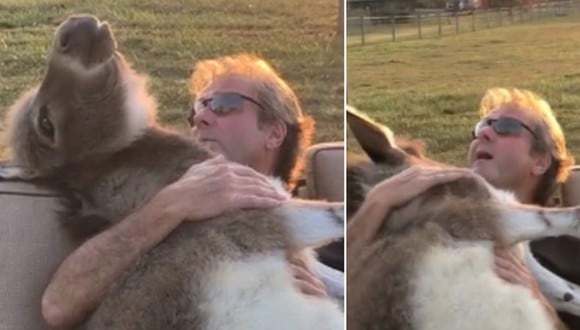 Una escena que te conmoverá. El hombre abrazó a su burro y luego le cantó con amor. (Foto: dawnlynn57 / TikTok)