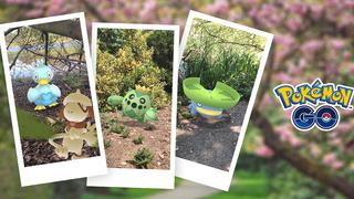 Pokémon GO anuncia New Pokémon Snap, un evento para compartir tus mejores fotos