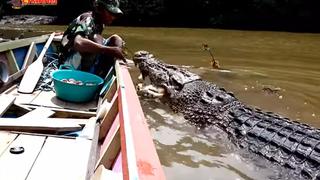 Hombre navega por un río y alimenta a un enorme y monstruoso cocodrilo