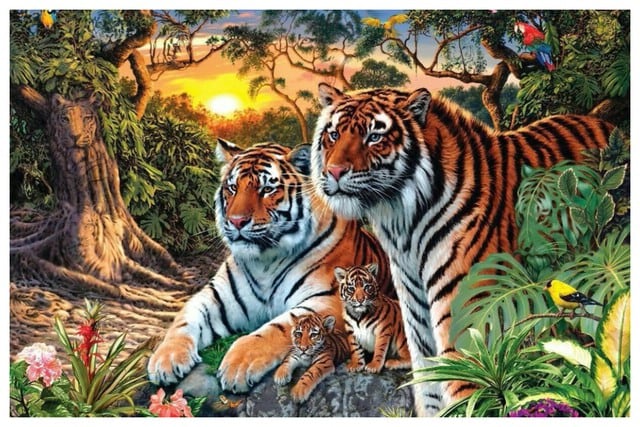 ¿Cuántos tigres ves en esta foto? Cuidado, no te dejes guiar por la primera impresión. (Foto: Twitter de @isharmaneer)