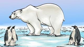 Halla ahora mismo el error del reto viral del oso polar y los pingüinos que solo el 1% logra resolver