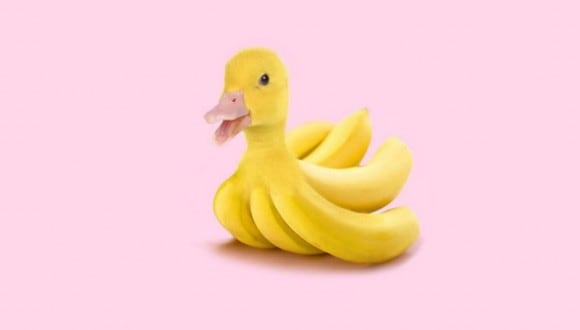 En esta imagen hay dos opciones: el pato y los plátanos. ¿Qué ves primero? (Foto: MDZ Online)