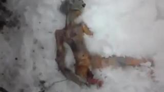 ¿Lluvia de criaturas en Rusia? La verdad sobre el video viral que circula en TikTok
