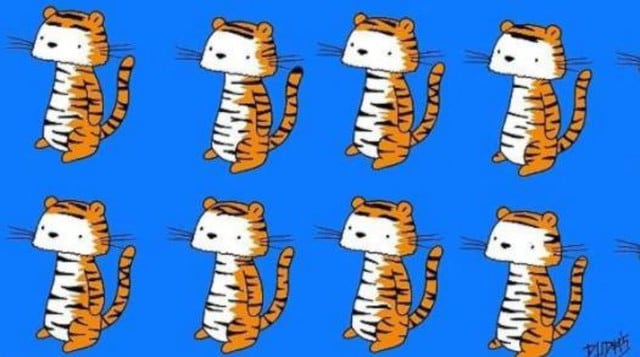 ¿Eres capaz de hallar al tigre diferente a los demás en solo 20 segundos de este reto viral? (Dudolf)