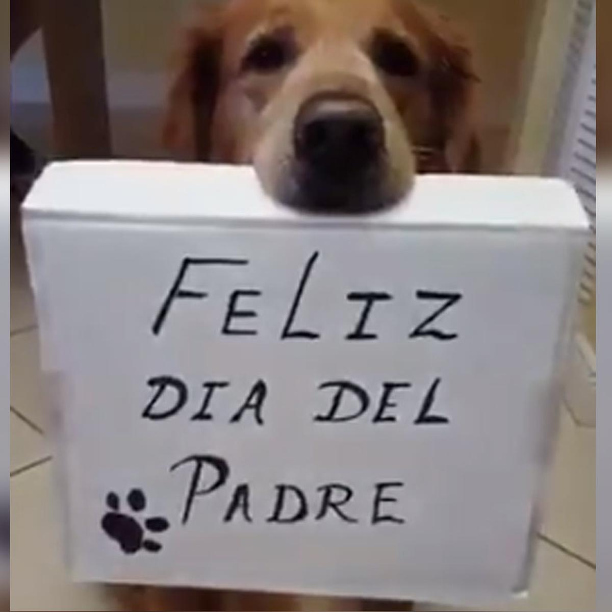 VIDEO VIRAL: Perro es furor en redes sociales por el emotivo regalo que le  dio a su dueño en el Día del Padre | Facebook viral | FB | USA | Estados