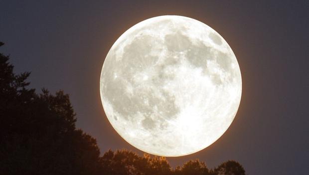 La Luna del Lobo alcanzará su iluminación máxima a mitad del día a las 12:54 pm ET y aquí podrás consultar más información sobre este fenómeno astronómico. (Foto: AFP)
