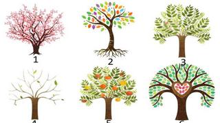 Test psicológico: elige el árbol que más te guste y conocerás rasgos ocultos de tu personalidad