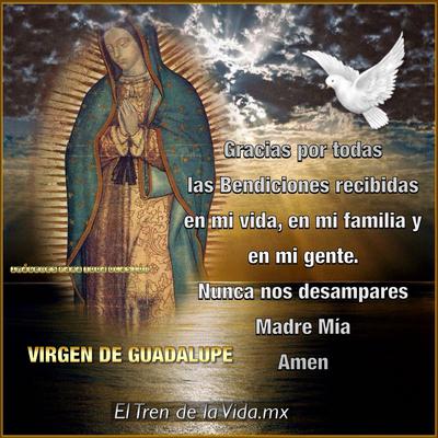 Día de la Virgen de Guadalupe 2023: canciones, oraciones y frases para  honrar a la 'Morenita del Tepeyac', mañanitas a la virgen de guadalupe