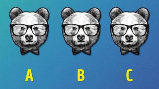 ¿Cuál de los tres osos crees que es distinto a los demás? El reto visual más complejo