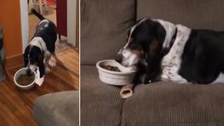 Perro encuentra la forma más cómoda para comer, genera ternura y el video se vuelve viral