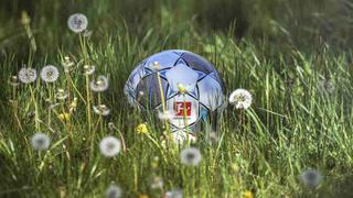 El fútbol hace bien: el estímulo que generará el regreso de la Bundesliga, según el psicólogo de la federación alemana