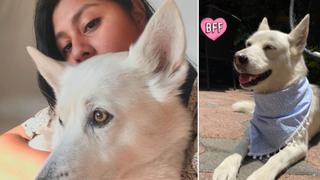 El conmovedor acto de una joven mexicana para poder operar a su perrita con tumor