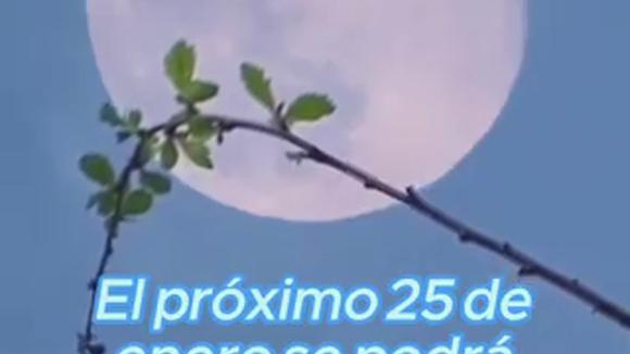 Este 25 de enero se podrá observar la Luna de Lobo. (Video: El Universal Hidalgo)