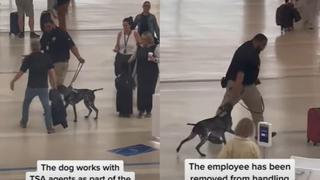 Polémico video viral muestra a agente de seguridad jaloneando a su perro y lo despiden