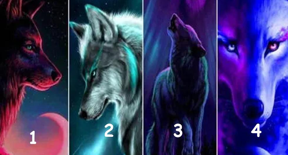 ▷ Escoge uno de los cuatro lobos y comprueba al 100 % si eres una persona  romántica | MEXICO | DEPOR
